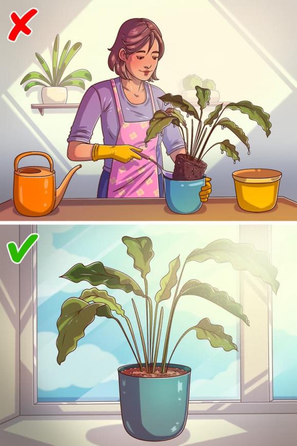 kinh nghiệm sống, cha mẹ dạy, điều cha mẹ không dạy 