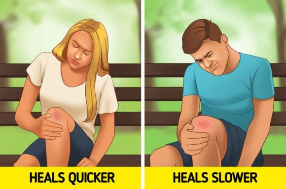 khác biệt giữa nam và nữ, khác biệt về giới tính, kiến thức 