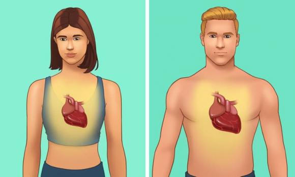 khác biệt giữa nam và nữ, khác biệt về giới tính, kiến thức 