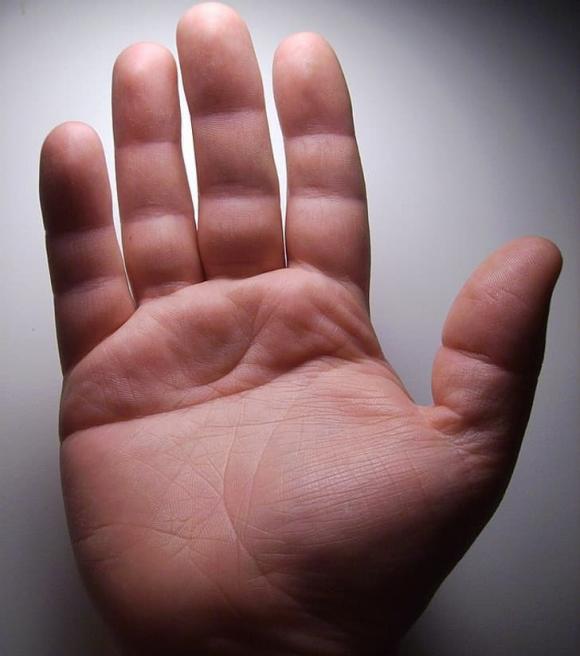 đặc điểm cơ thể, cơ thể, kiến thức 