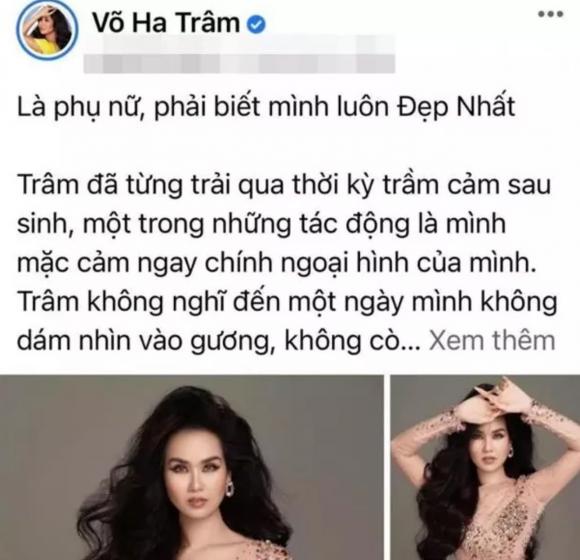 ca sĩ Võ Hạ Trâm, sao Việt