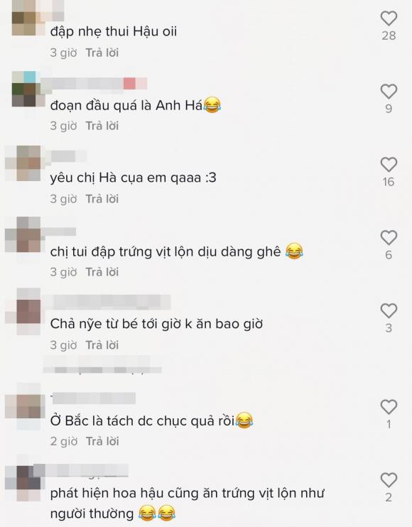 hoa hậu Đỗ Thị Hà, sao Việt