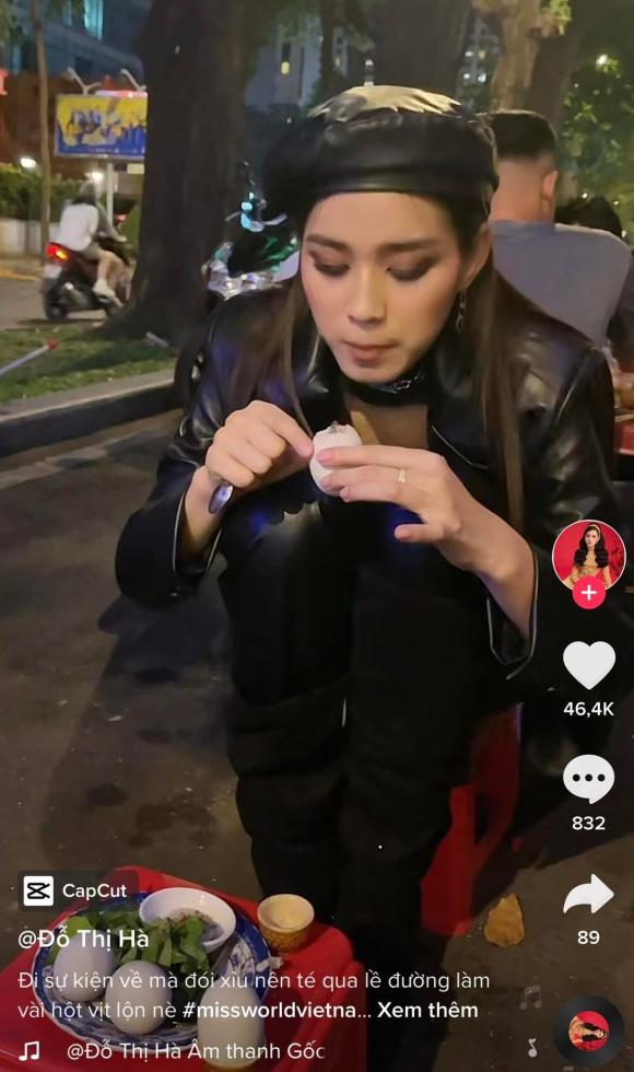 hoa hậu Đỗ Thị Hà, sao Việt