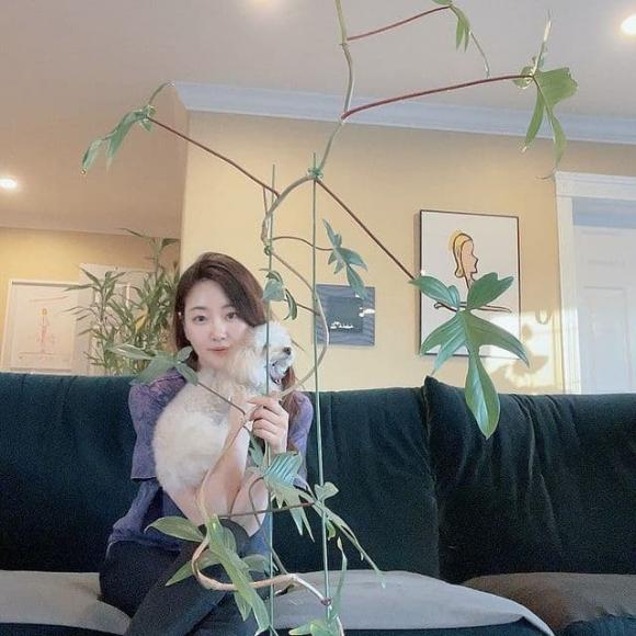 kim sa rang, jang nara, sao hàn 
