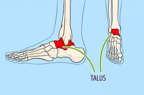 giày cao gót, chiều cao giày cao gót, xác định chiều cao giày cao gót lý tưởng,