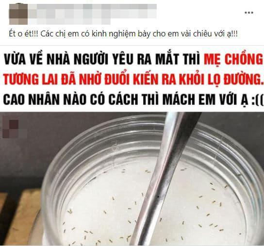 đuổi kiến ra khỏi hũ đường, cách đuổi kiến, mẹ chồng 
