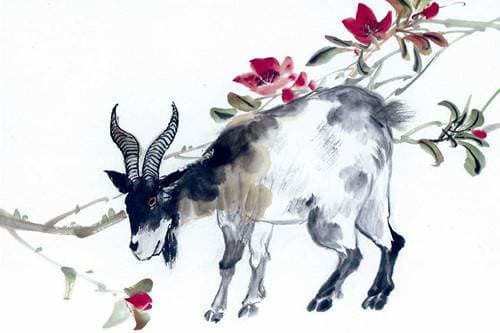 tuổi Dê, tuổi Mùi, tử vi