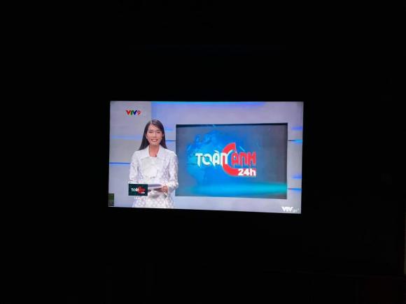 Phương Anh, Phương Anh dẫn chương trình VTV, Á hậu của VTV 