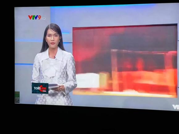 Phương Anh, Phương Anh dẫn chương trình VTV, Á hậu của VTV 
