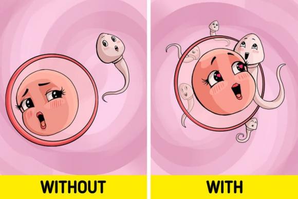 hành tây, công dụng của hành tây, sức khỏe 