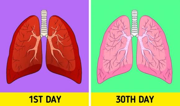 thải độc phổi, bổ phổi, sức khỏe