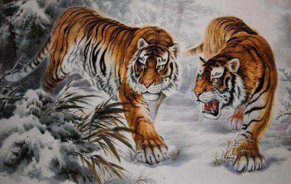 tử vi, con giáp, ngày 16 âm lịch