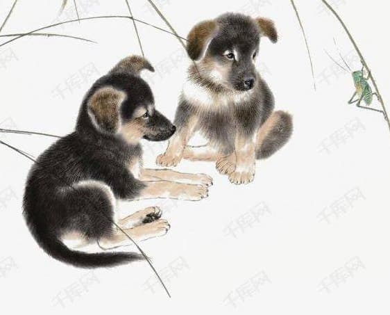 tử vi 12 con giáp, tử vi năm 2022, tuổi Tuất sinh ngày này sẽ giàu có
