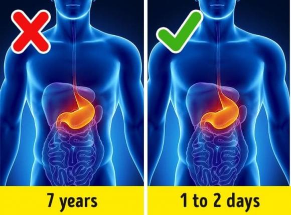 xà phòng diệt vi khuẩn, công dụng của xà phòng, kiến thức 