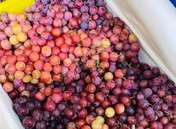 nho ngâm hóa chất, nho độc hại, nho sạch