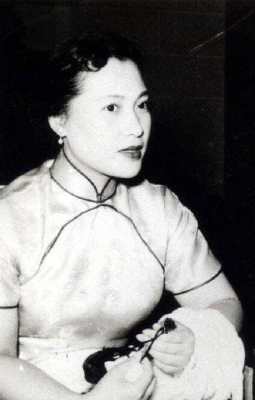 sao Hoa ngữ,Tần Di,Trần Thiên Quốc,Kim Diệm