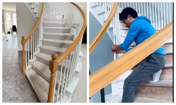 ca sĩ Mạnh Quỳnh, ca sĩ Phi Nhung, sao Việt