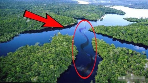 sông Amazon, khám phá khoa học