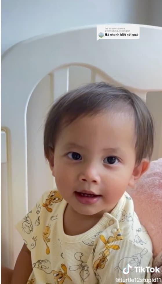 ,ca sĩ Hồ Ngọc Hà,nữ ca sĩ hồ ngọc hà, diễn viên Kim Lý, cặp sinh đôi của Hà Hồ, sao Việt