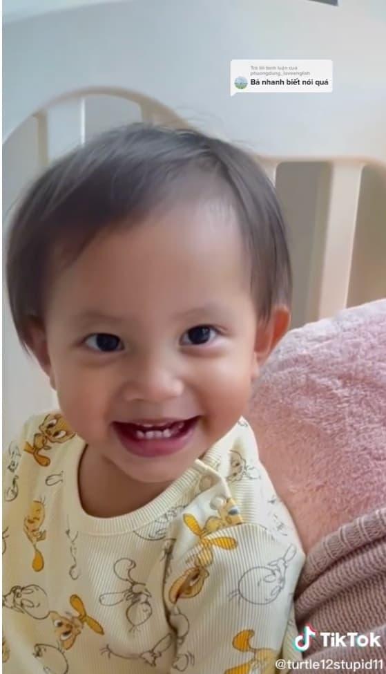 ,ca sĩ Hồ Ngọc Hà,nữ ca sĩ hồ ngọc hà, diễn viên Kim Lý, cặp sinh đôi của Hà Hồ, sao Việt