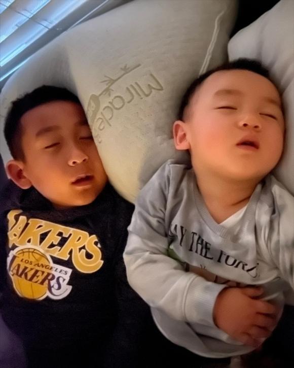 ca sĩ Phi Nhung, con gái Phi Nhung, sao Việt