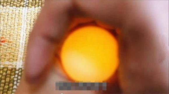 trứng, chế biến trứng, hoán đổi lòng đỏ, dạy nấu ăn