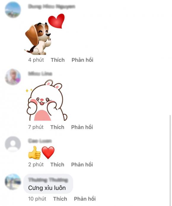 ca sĩ bảo thy, doanh nhân phan lĩnh, con trai, sao việt