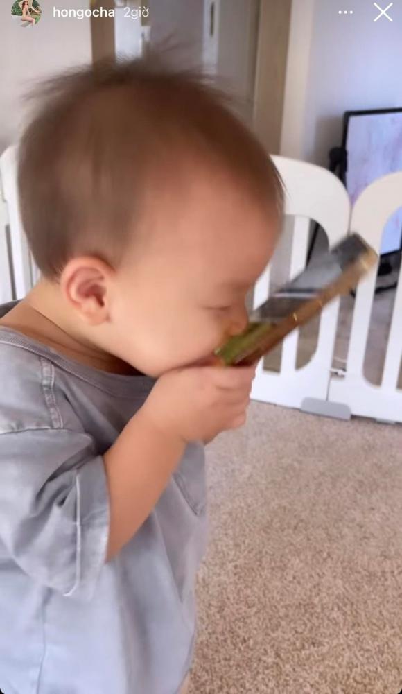 ca sĩ Hồ Ngọc Hà,nữ ca sĩ hồ ngọc hà, diễn viên Kim Lý, sao Việt, cặp sinh đôi của Hà Hồ