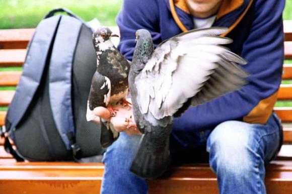 thói quen gây hại cho sức khỏe, vắt chân, sức khỏe 