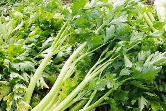 ung thư, dấu hiệu ung thư, thực phẩm tránh ung thư