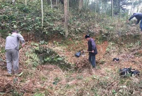 tảo mộ, lễ thanh minh, tiết thanh minh, kiêng kị