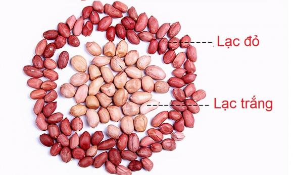 lạc rang muối, công thức lạc rang muối, lạc rang