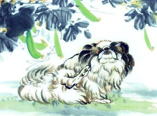 tử vi, con giáp