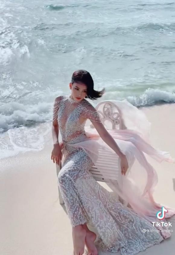 hoa hậu tiểu vy, sao việt 