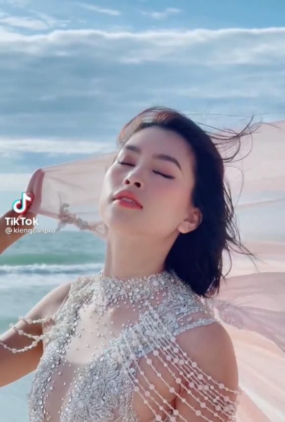 hoa hậu tiểu vy, sao việt 
