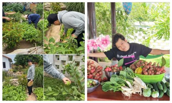Danh hài Trường Giang,diễn viên Nhã Phương,sao Việt