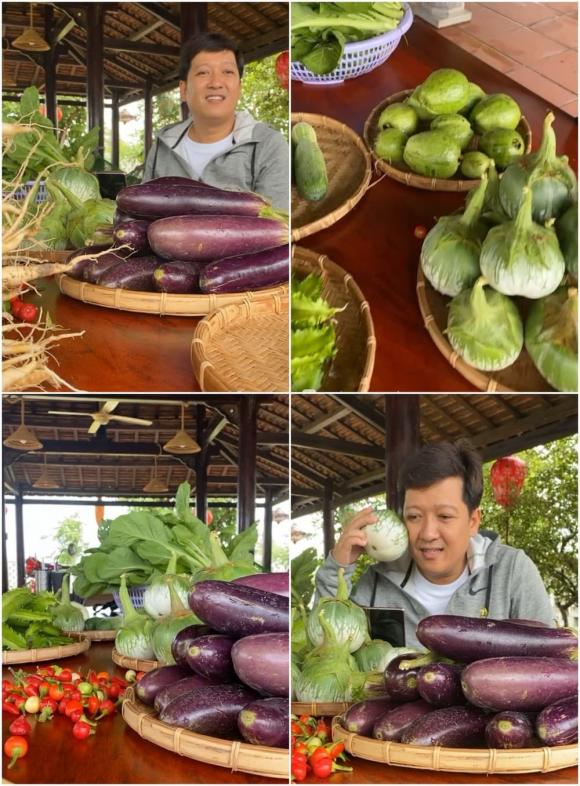 danh hài Trường,biệt thự nhà trường giang,nhã phương
