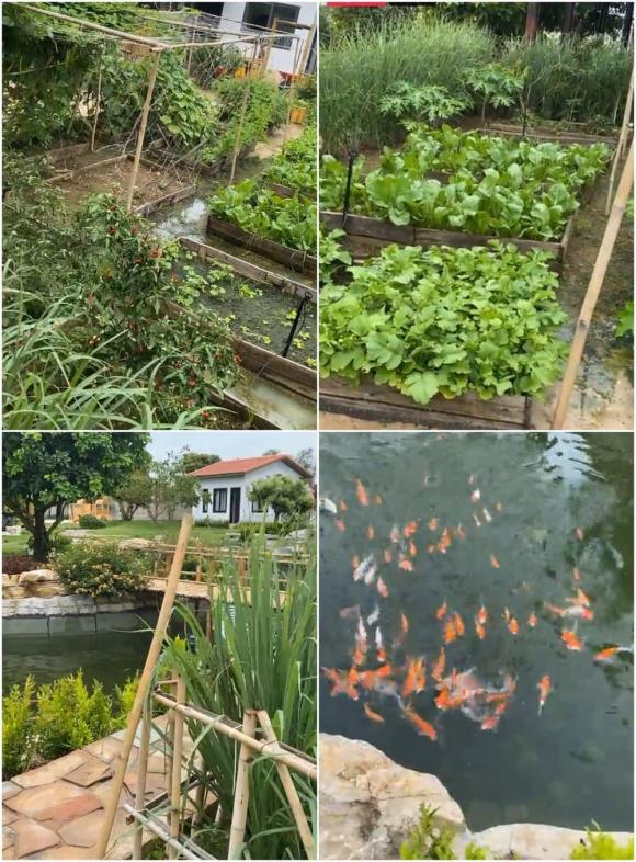 danh hài Trường,biệt thự nhà trường giang,nhã phương