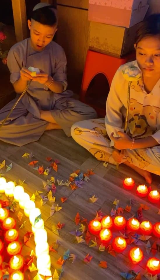 ca sĩ Phi Nhung,sao Việt