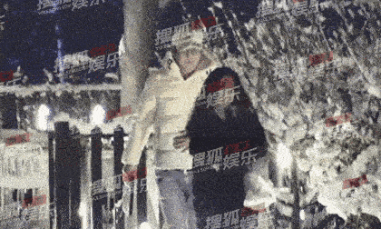 diêu địch 0 Tân hồng lâu mộng, Tân hồng lâu mộng, sao Hoa ngữ