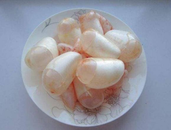 bóng cá, bàng hơi, bàng quang cá