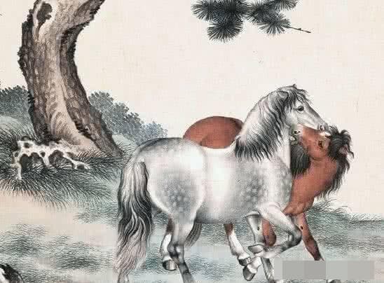 tử vi, con giáp