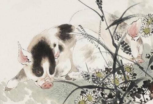 tử vi, con giáp, tử vi tháng 5