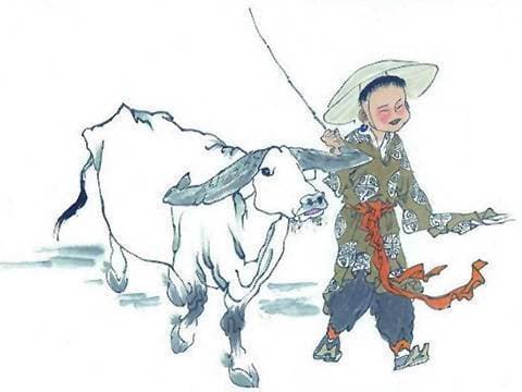 tử vi, con giáp