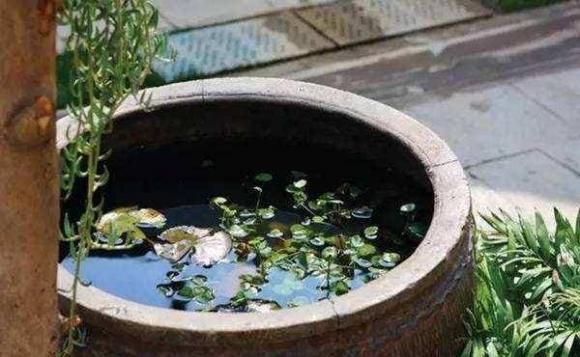 bồn nước, hỏa hoạn, tử cấm thành