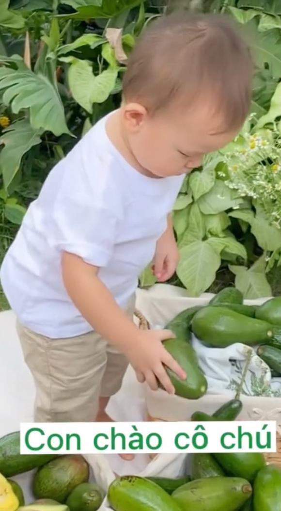 ca sĩ Hồ Ngọc Hà,nữ ca sĩ hồ ngọc hà,diễn viên Kim Lý,cặp sinh đôi của Hà Hồ,sao Việt