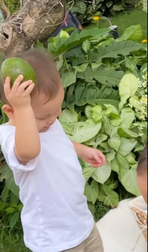 ca sĩ Hồ Ngọc Hà,nữ ca sĩ hồ ngọc hà,diễn viên Kim Lý,cặp sinh đôi của Hà Hồ,sao Việt