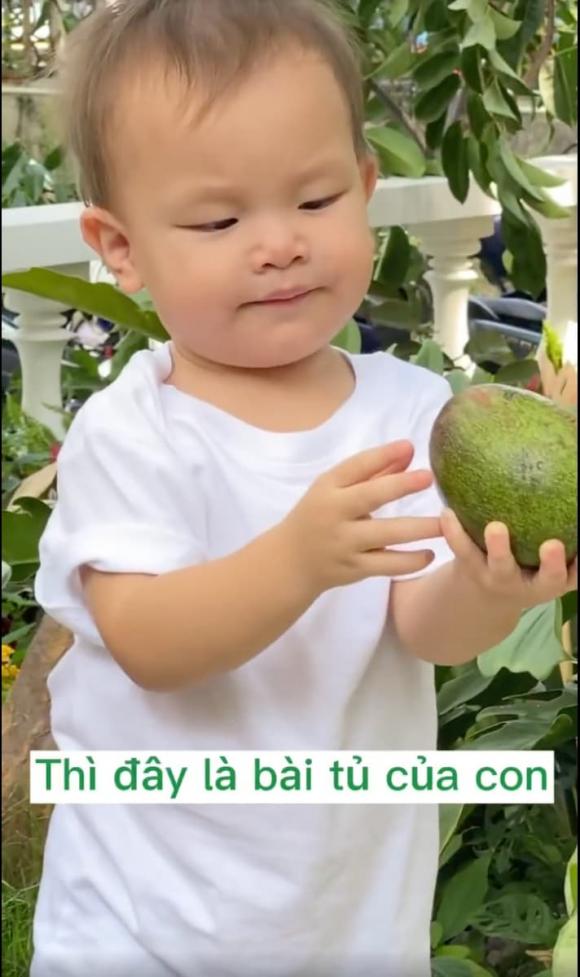 ca sĩ Hồ Ngọc Hà,nữ ca sĩ hồ ngọc hà,diễn viên Kim Lý,cặp sinh đôi của Hà Hồ,sao Việt