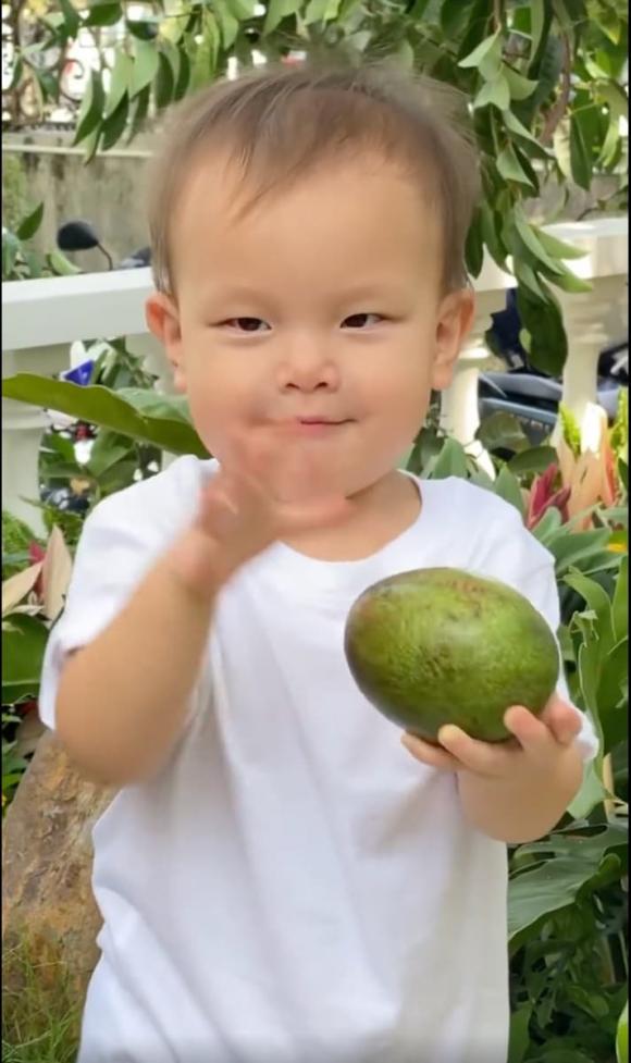 ca sĩ Hồ Ngọc Hà,nữ ca sĩ hồ ngọc hà,diễn viên Kim Lý,cặp sinh đôi của Hà Hồ,sao Việt