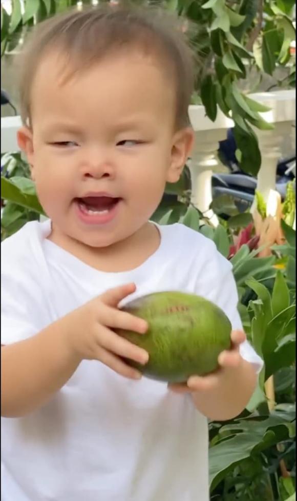 ca sĩ Hồ Ngọc Hà,nữ ca sĩ hồ ngọc hà,diễn viên Kim Lý,cặp sinh đôi của Hà Hồ,sao Việt